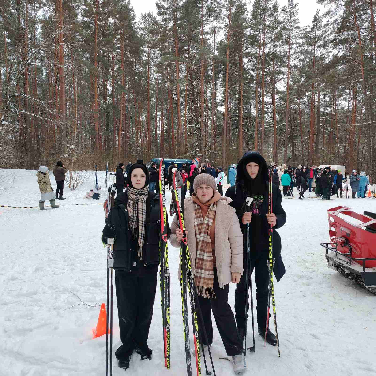изображение viber 2026 02 14 12 31 30 805